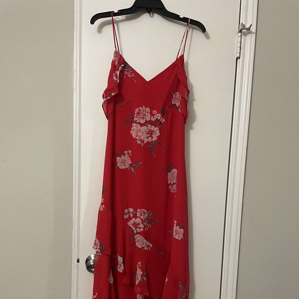 Speechless Dress